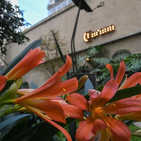 Casa Franca Recoleta Hostel Boutique بوينس آيرس المظهر الخارجي الصورة