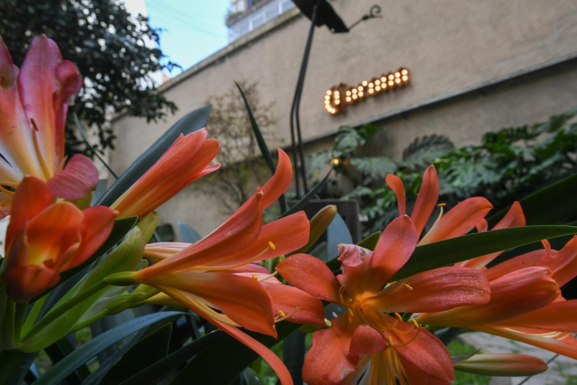 Casa Franca Recoleta Hostel Boutique بوينس آيرس المظهر الخارجي الصورة